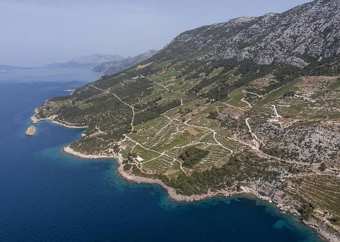 Willa Dingac Village Luxury Potomje